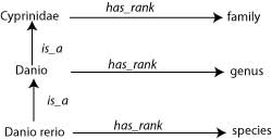 The structure of the current TTO ontology
